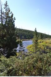 Photo References of Background Nature USA